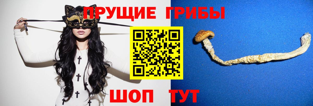 Галлюциногенные грибы ЛСД  Вход с VPN  Батайск 
